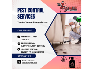 Effective Termite Control Services in Queen Creek, AZ - Magic Pest Control