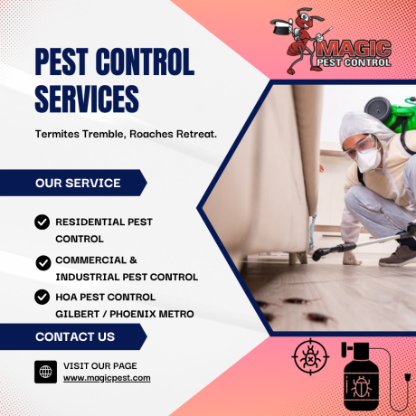 effective-termite-control-services-in-queen-creek-az-magic-pest-control-big-0