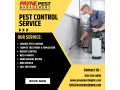 comprehensive-pest-control-services-termite-control-services-in-san-diego-payne-pest-small-0