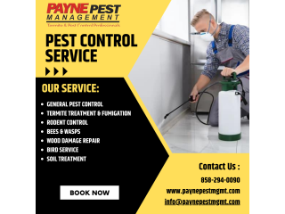 Comprehensive Pest Control Services | Termite Control Services in San Diego - Payne Pest