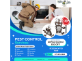 expert-pest-control-and-termite-treatment-services-in-alexandria-better-termite-pest-control-small-0