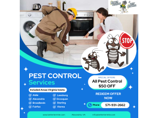 Expert Pest Control and Termite Treatment Services in Alexandria - Better Termite Pest Control