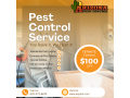 expert-rodent-pack-rat-control-in-tucson-azpest-control-small-0