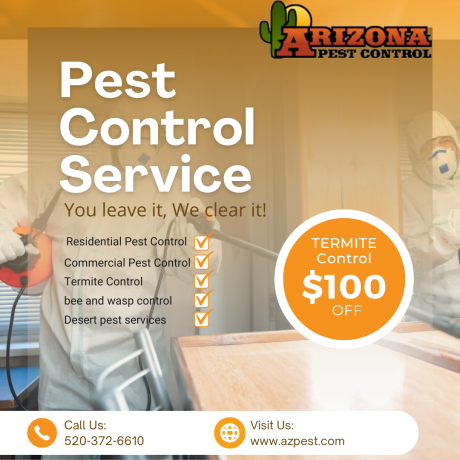 expert-rodent-pack-rat-control-in-tucson-azpest-control-big-0