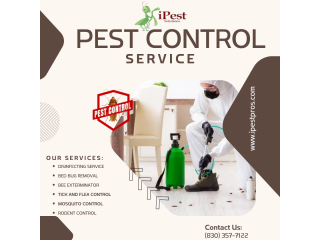 Effective Pest Control Services in San Antonio - iPest Solutions