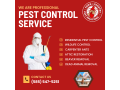 expert-pest-control-services-in-rochester-ny-town-and-country-pest-solutions-small-0