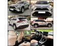 toyota-rav-4-model-2019-small-0