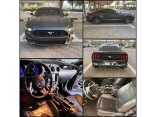 Ford Mustang Model Year 2017 American Import