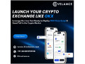 empower-your-crypto-business-with-feature-rich-decentralized-exchange-software-small-0