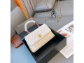 gorgeous-chanel-bags-small-4