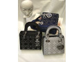dior-bags-women-small-1