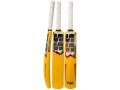 cricket-bat-plastic-size-5-at-fs-small-0