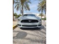 ford-mustang-2016-model-mileage-200000-km-small-2