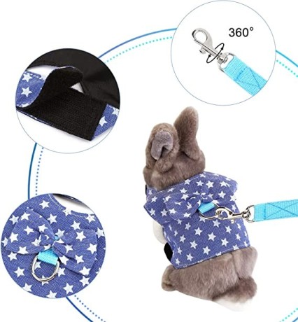 rabbit-harness-with-leash-adjustable-cute-vest-with-bunny-harness-leash-big-1