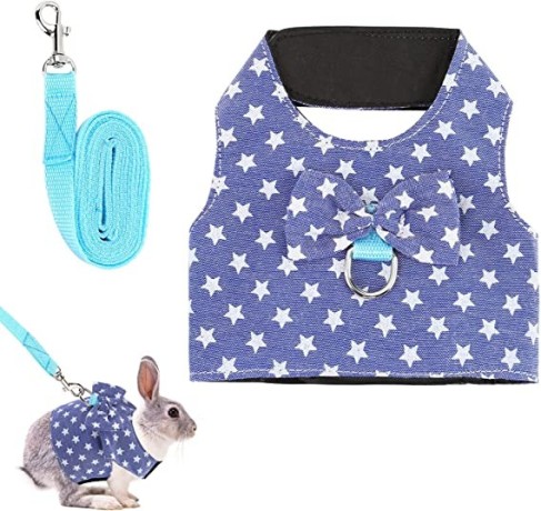 rabbit-harness-with-leash-adjustable-cute-vest-with-bunny-harness-leash-big-4