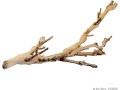 exo-terra-forest-branch-small-exact-size-may-vary-small-1