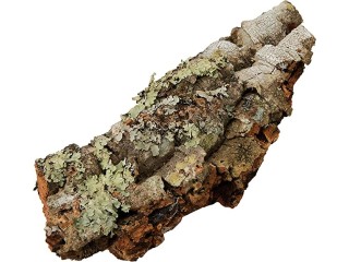 Komodo Mini Habitat Bark, U46300, 1 Count (Pack of 1)