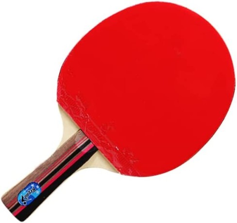 coolbaby-professional-training-table-tennis-racket-2-racket-3-balls-table-tennis-racket-set-big-0