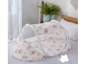 baby-mosquito-net-with-pillow-small-1