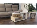 top-e-shop-topeshop-prima-son-mix-coffeesideend-table-coffee-table-free-form-shape-1-legs-small-1