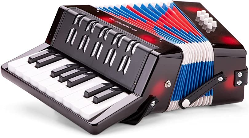 new-classic-toys-accordion-with-music-book-for-toddlers-3-years-old-boys-and-girls-baby-gifts-kids-musical-instruments-for-childrens-three-year-old-big-0