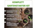 bonsai-starter-kit-with-growing-soil-piece-propagation-set-plant-pots-degradable-seed-set-small-3