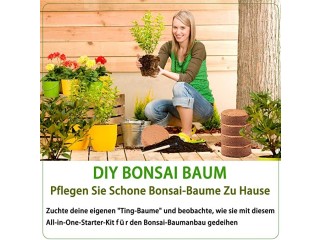 Bonsai Starter Kit with Growing Soil, Piece Propagation Set, Plant Pots, Degradable, Seed Set