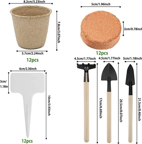 bonsai-starter-kit-with-growing-soil-piece-propagation-set-plant-pots-degradable-seed-set-big-2