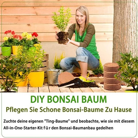 bonsai-starter-kit-with-growing-soil-piece-propagation-set-plant-pots-degradable-seed-set-big-0