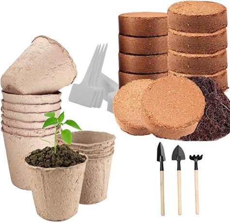 bonsai-starter-kit-with-growing-soil-piece-propagation-set-plant-pots-degradable-seed-set-big-1