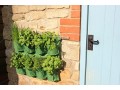 haxnicks-herb-wall-garden-planter-small-1