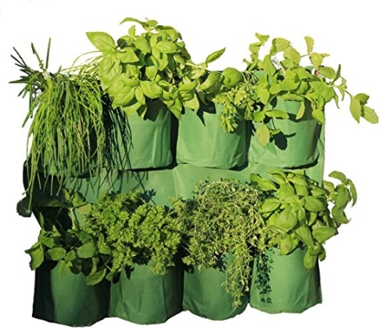 haxnicks-herb-wall-garden-planter-big-2