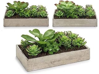 Ibergarden - - New Products - Plant pot Ibergarden Green (17 x 13 x 29 cm)
