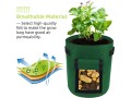 litlandstar-potato-growing-bag-5-pack-15-gallon-vegetable-growing-plant-bags-with-viewing-window-and-handles-for-vegetables-small-4