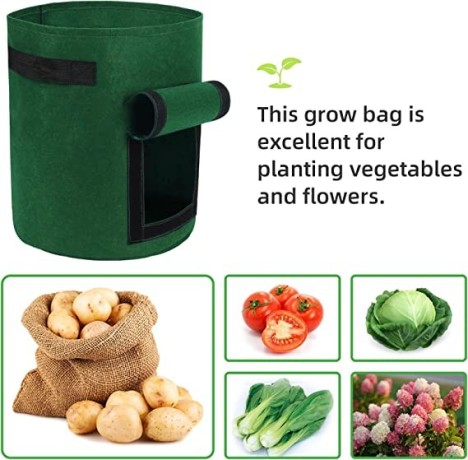 litlandstar-potato-growing-bag-5-pack-15-gallon-vegetable-growing-plant-bags-with-viewing-window-and-handles-for-vegetables-big-2