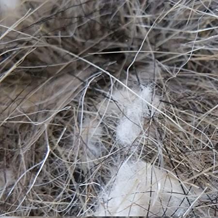 sisal-fibre-50g-sisal-fibre-natural-hair-cotton-bird-cage-for-canary-big-0