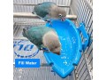 longyisound-bird-bathtub-feeder-bowl-small-parrot-shower-bath-small-1