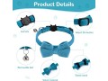 cat-bow-tie-collar-adjustable-cat-collar-with-bow-tie-and-bell-personalised-pet-accessories-for-pets-cats-puppies-3-colours-small-2