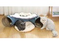 pandawant-cat-play-tunnel-cat-bed-for-indoor-cats-with-removable-central-mat-small-3