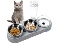 cat-feeding-bowl-raised-stainless-steel-non-spill-food-bowl-small-2