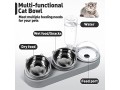 cat-feeding-bowl-raised-stainless-steel-non-spill-food-bowl-small-1