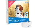 tractive-gps-dog-4-dog-tracker-always-know-where-your-dog-is-keep-them-fit-with-activity-monitoring-small-2