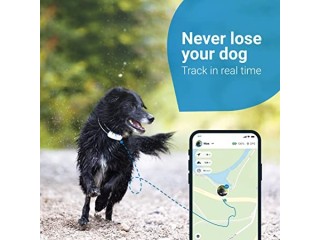 Tractive GPS DOG 4. Dog Tracker. Always know where your dog is. Keep them fit with Activity Monitoring