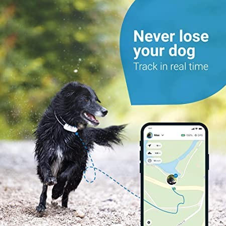 tractive-gps-dog-4-dog-tracker-always-know-where-your-dog-is-keep-them-fit-with-activity-monitoring-big-0