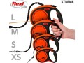 flexi-xtreme-tape-orange-black-large-8m-retractable-dog-leash-small-2