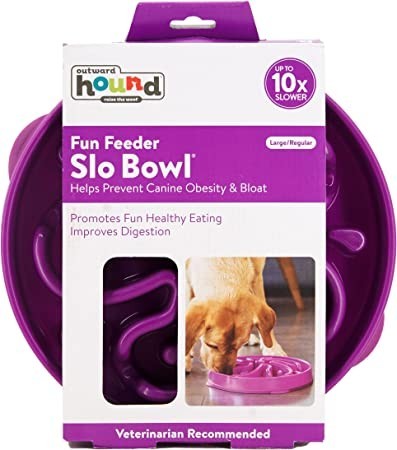 outward-hound-fun-feeder-slo-bowl-slow-feeder-dog-bowl-largeregular-purple-big-1