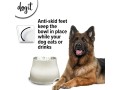 dogit-elevated-dog-bowl-stainless-steel-dog-food-and-water-bowl-for-large-dogs-white-73753-small-4