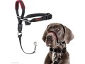 company-of-animals-halti-optifit-headcollar-for-dogs-blackred-large-small-2