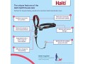 company-of-animals-halti-optifit-headcollar-for-dogs-blackred-large-small-1