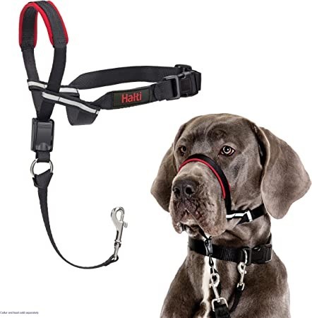 company-of-animals-halti-optifit-headcollar-for-dogs-blackred-large-big-2